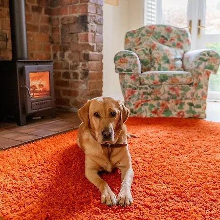 Сasa de vacaciones Strayside - Cosy Dog Friendly Sleeps 4. 5 Mins Walk To Hospital And 15 Mins Walk To Town Centre Harrogate